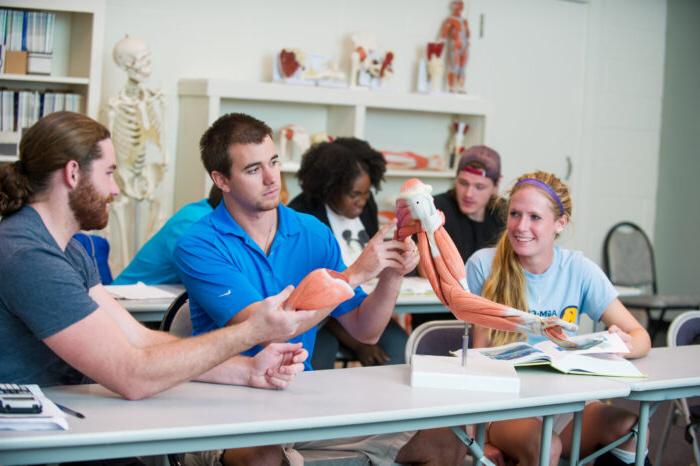 学生们正在检查有肌肉结构的骨骼.